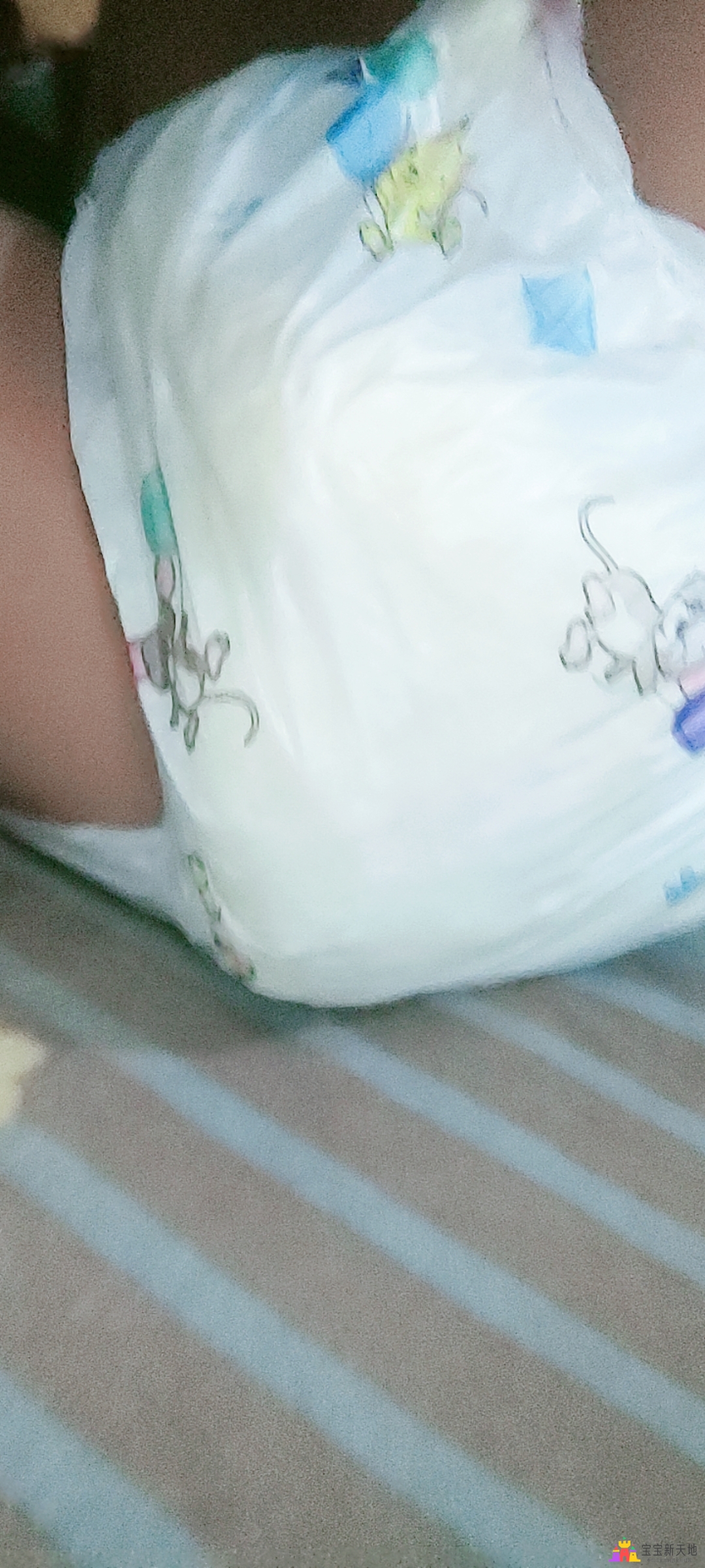 1000041831.jpg