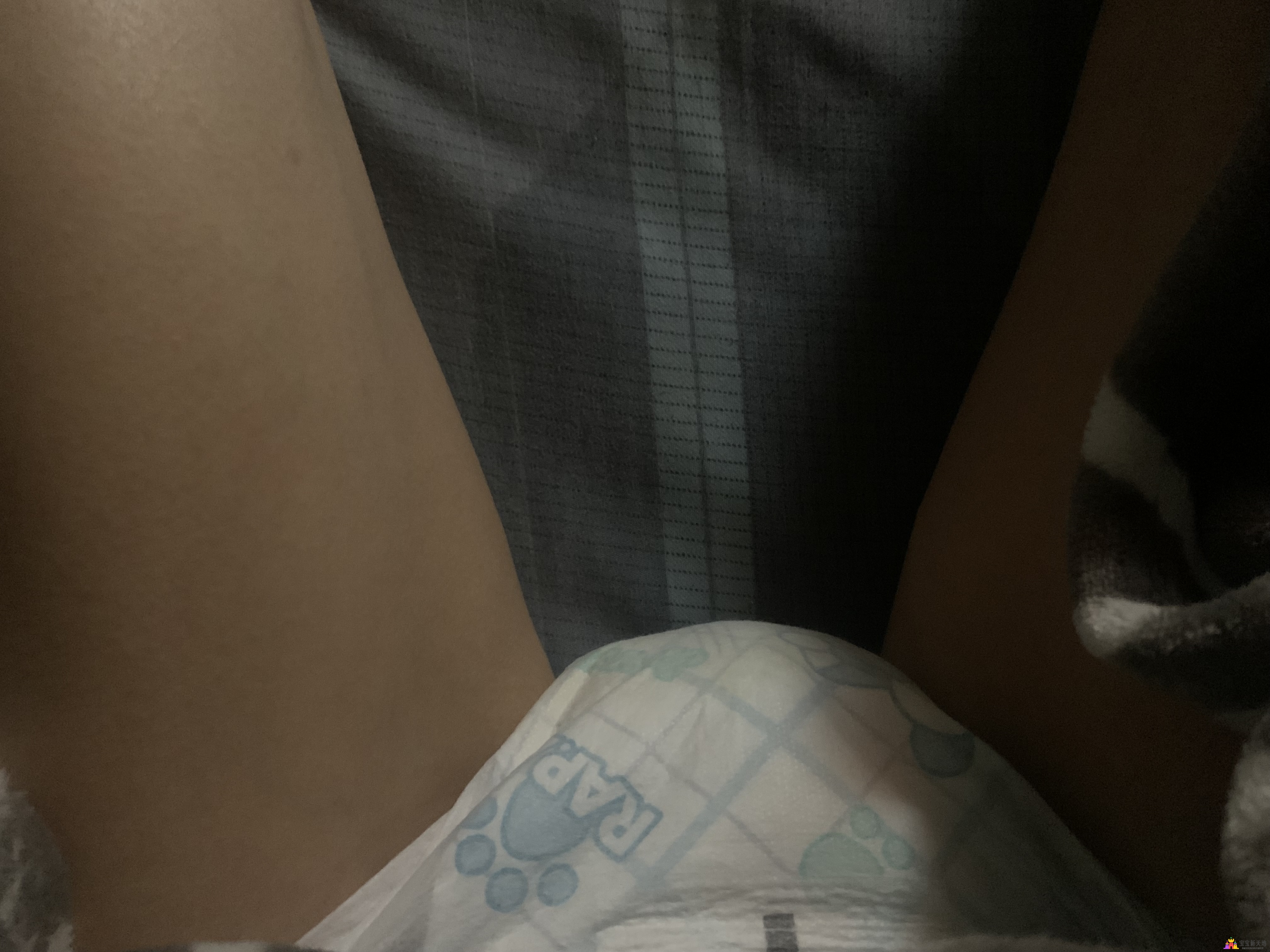 IMG_1006.jpeg